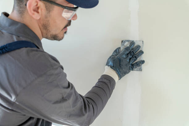 Professional Drywall & Painting Services in South El Monte, CA